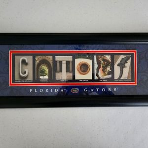 Framed UF Gators photo collage